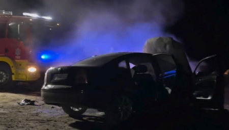JEZIVA SCENA U NA FRUŠKOJ GORI Plamen se razbuktao (VIDEO)