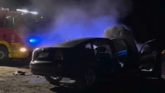 JEZIVA SCENA U NA FRUŠKOJ GORI Plamen se razbuktao (VIDEO)