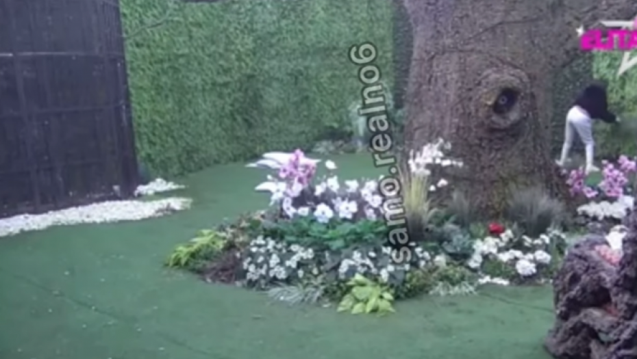 NOVI POKUŠAJ BEKSTVA IZ ELITE! Razjarena učesnica razvaljuje ogradu, ne može da izdrži pritisak, pojavio se i snimak!