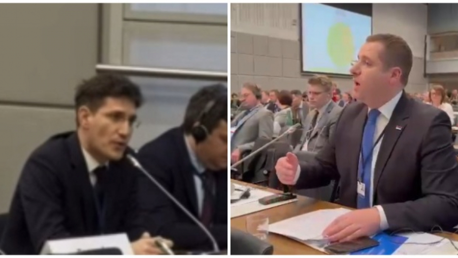 NIJE BILO NEREGULARNOSTI NA IZBORIMA U SRBIJI Hrvatska i BiH rekli svoje na Parlamentarnoj skupštini OEBS-a