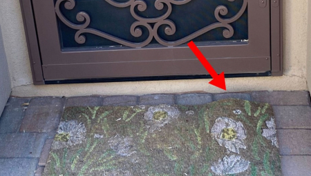 OVE OPASNE ŽIVOTINJE SVE VIŠE IMA U SRBIJ Evo šta da uradite ako se sretnete licem u lice sa jednom od njih (FOTO)
