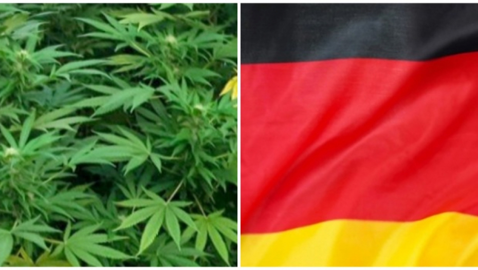 Nemačka legalizovala rekreativnu upotrebu kanabisa!