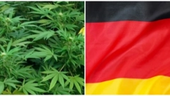Nemačka legalizovala rekreativnu upotrebu kanabisa!