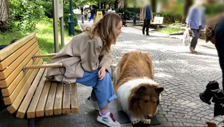 ŠTA JE OVO LJUDI MOJI? Platio 20.000 dolara da se pretvori u Lesi - evo da li se "vratio kući" (VIDEO)