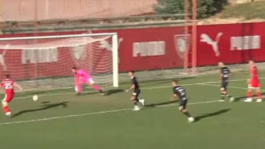 IGRAČI ZBOG NAMEŠTANJA DOBILI DRAKONSKE KAZNE Nezapamćen skandal u srpskom fudbalu dobio epilog (VIDEO)