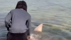 MUŠKARAC GOLIM RUKAMA UHVATIO AJKULU Pozirao uz osmeh, pa izazvao lavinu komentara (FOTO/VIDEO)
