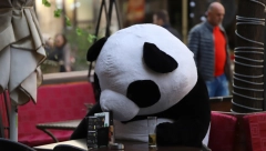 NESTVARINI PRIZORI U CENTRU GRADA Sunce i lepo vreme izmamili ljude na ulicu (FOTO)