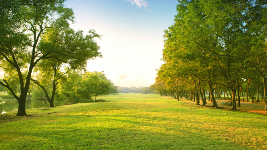 DEKA IZ HRVATSKE DAJE IMANJE ZA 1 EVRO GODIŠNJE: Nije mogao da sanja oštre komentare koje dobija!