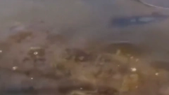 U AMAZONU PRIMEĆENO MISTERIOZNO STVORENJE Čovek sedeo u kajaku, a onda je osetio jak udarac (VIDEO)