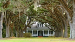 DAJU KUĆU NA KORIŠĆENJE U PETROVCU NA MLAVI: Jedan uslov mora da se ispoštuje!