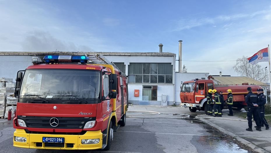 VATRA PROGUTALA 20 KRAVA I 1000 BALA SENA! Grom napravio haos - vatrena stihija BESNELA!