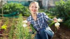 Udružena sadnja: Ove biljke nikako ne smete uzgajati pored belog i crnog luka