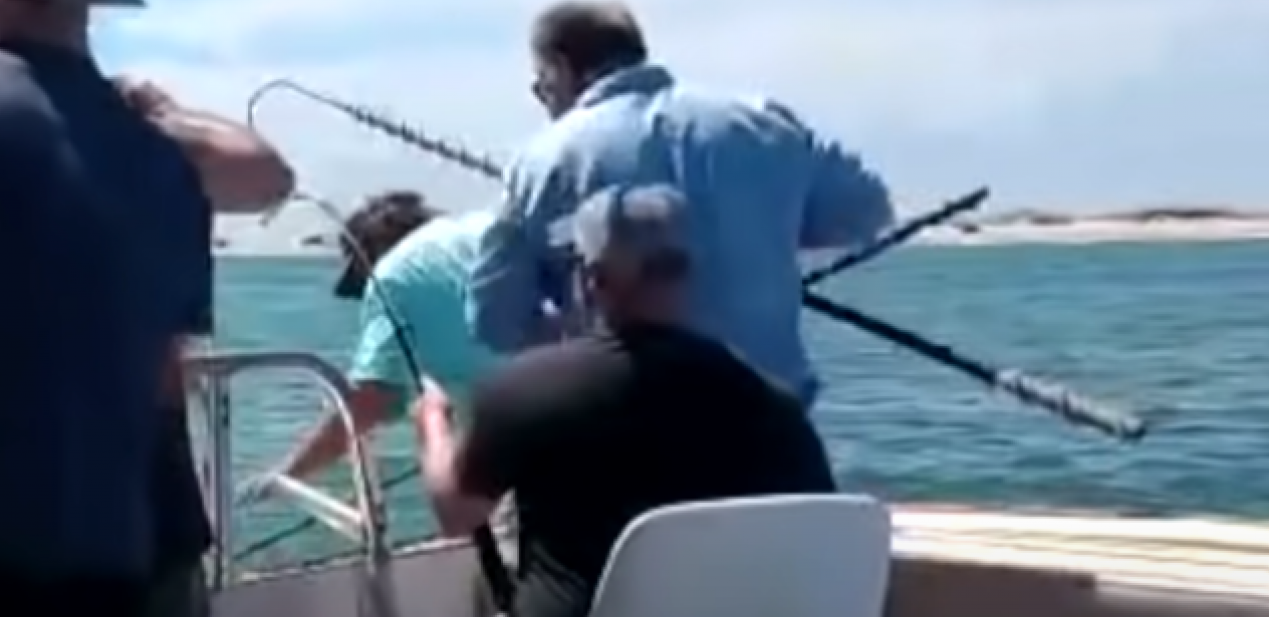 NEMAN SE STVORILA NIOTKUDA Neverovatna scena tokom ribolova, sve se desilo u trenutku (VIDEO)