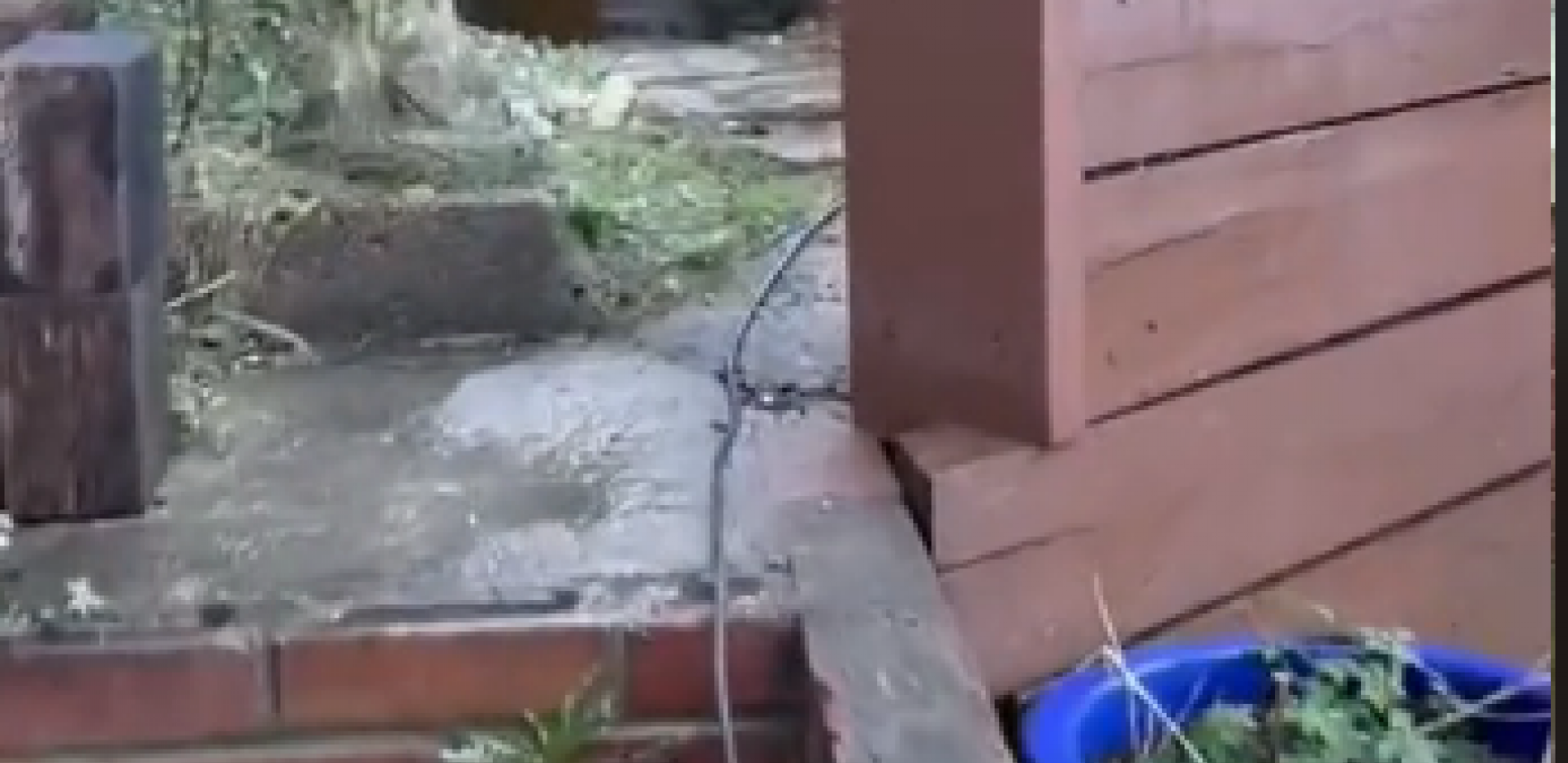 KOPALI BAŠTU PA PRONAŠLI NEŠTO NEVEROVATNO Pratioci na TikToku oduševljeni (VIDEO)