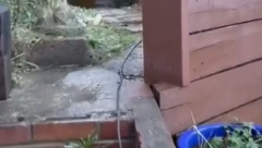 KOPALI BAŠTU PA PRONAŠLI NEŠTO NEVEROVATNO Pratioci na TikToku oduševljeni (VIDEO)