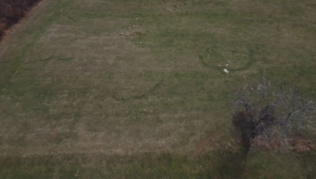 SVI GLEDAJU U OVO ČUDO PRIRODE KOD KOSJERIĆA Misteriozna pojava na travi javlja se svakog proleća, da li je vidite? Za to se veže jedna legenda (FOTO)