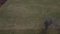 SVI GLEDAJU U OVO ČUDO PRIRODE KOD KOSJERIĆA Misteriozna pojava na travi javlja se svakog proleća, da li je vidite? Za to se veže jedna legenda (FOTO)