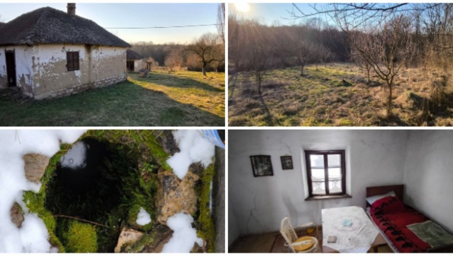 JELENA PRODAJE KUĆU, PLAC, ŠLJIVIK OD 150 STABALA I ŠUMU -  I SVE TO ZA 14.500 EVRA Cela Srbija merka ovo (FOTO)