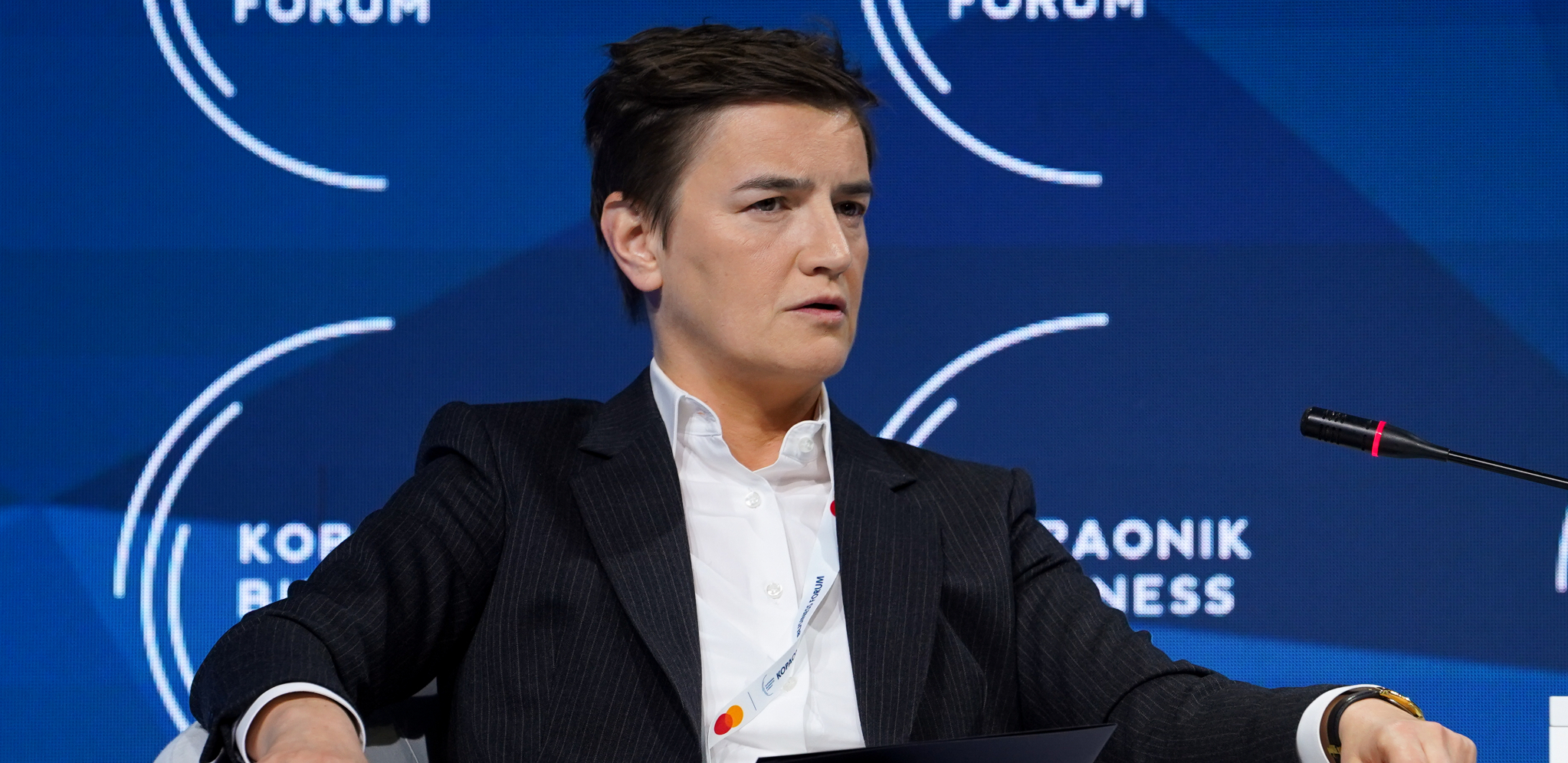 BRNABIĆ: Srbija ima ozbiljnu vlast (FOTO)