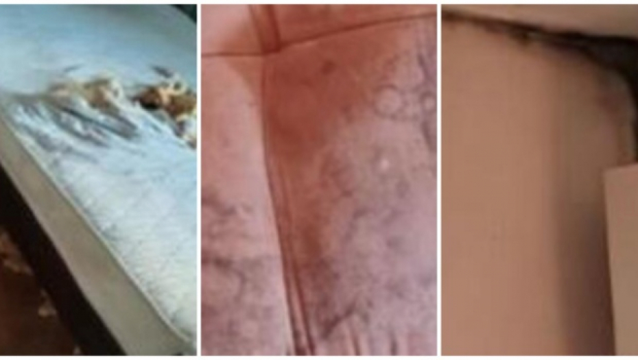 PODSTANARI OSTAVILI BEOGRAĐANKI URNISAN STAN Garnitura izgrižena, dušek sa rupama - plus ogromni dugovi! Snimila sav haos