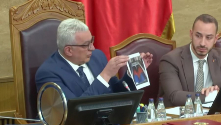 JAKE POLICIJSKE SNAGE NA CETINJU! Protest zbog dolaska Mandića