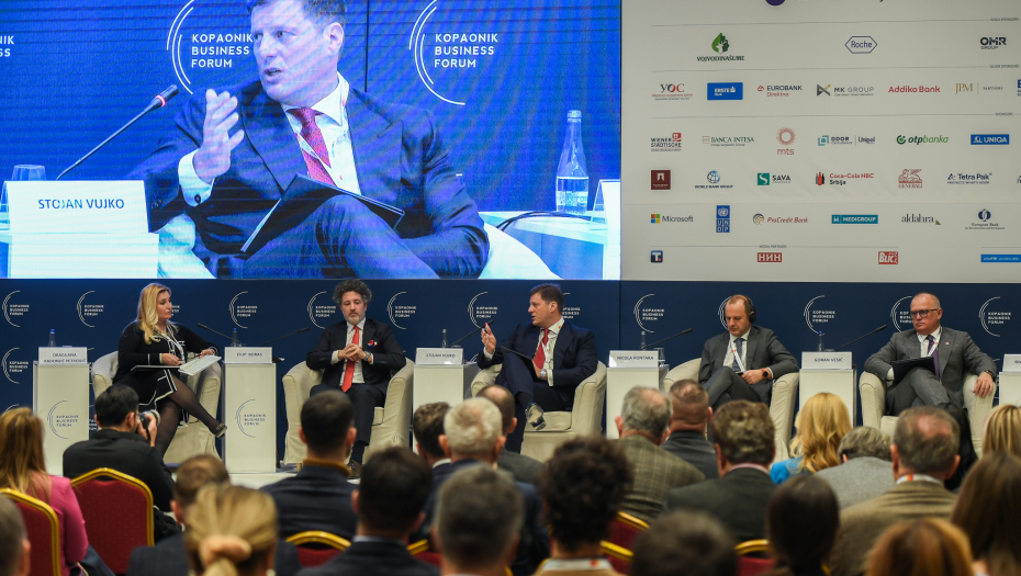 Vujko: Domaće kompanije stub i nosilac u investicionom ciklusu koji nas očekuje