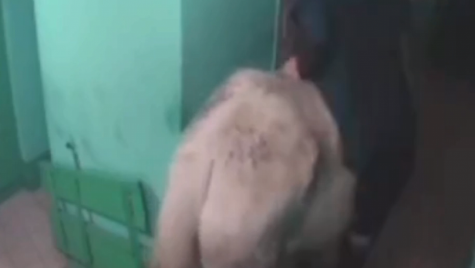 PRINC NA BELOM KONJU U STVARNOM ŽIVOTU Hteo da iznenadi ženu, kad je otvorila vrata ostala bez teksta (VIDEO)