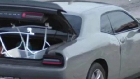 ŽENA VOZILA SINA U OTVORENOM GEPEKU  Preti joj do 20 godina zatvora