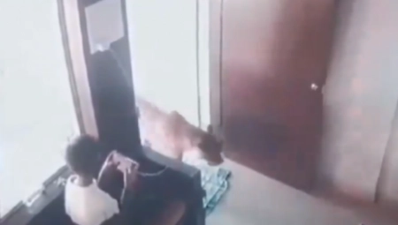 HRABRA REAKCIJA DEČAKA ĆE VAS ODUŠEVITI Kada je video leoparda, uradio je jednu pametnu stvar! (VIDEO)