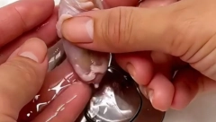 DEVOJKA PRONAŠLA TEK ROĐENU ŽIVOTINJICU U DVORIŠTU Kad je porasla, svi su bili ŠOKIRANI (VIDEO)