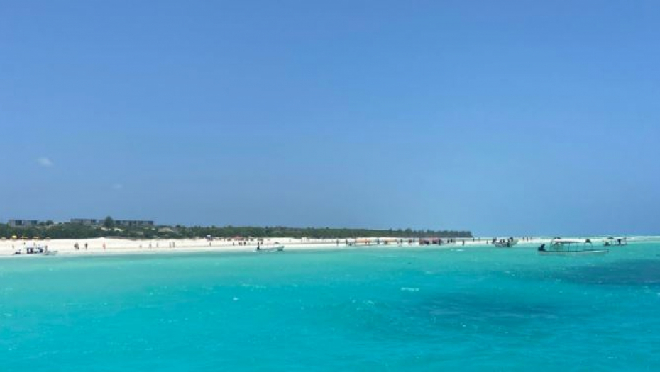 UMRLA MAJKA I OSMORO DECE Jeli meso morske kornjače, masovno trovanje na Zanzibaru