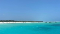 UMRLA MAJKA I OSMORO DECE Jeli meso morske kornjače, masovno trovanje na Zanzibaru