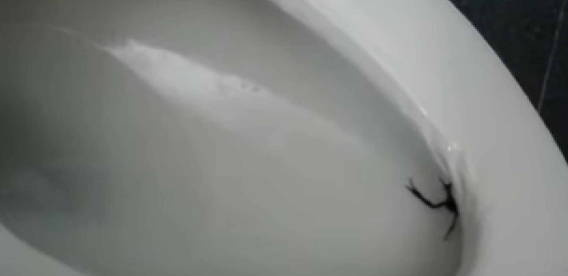 SAMO ŠTO SE NIJE ONESVESTILA Žena sela na WC ŠOLJU, pa osetila da se nešto MIGOLJI (VIDEO)