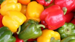 KOJA JE RAZLIKA IZMEĐU ŽUTIH, CRVENIH I ZELENIH PAPRIKA? Zašto im se cena razlikuje i kakav je ukus