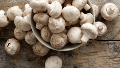 5 GREŠAKA KOJE RADITE KADA SPREMATE PEČURKE? Evo zašto gube na ukusu i jelo nije savršeno