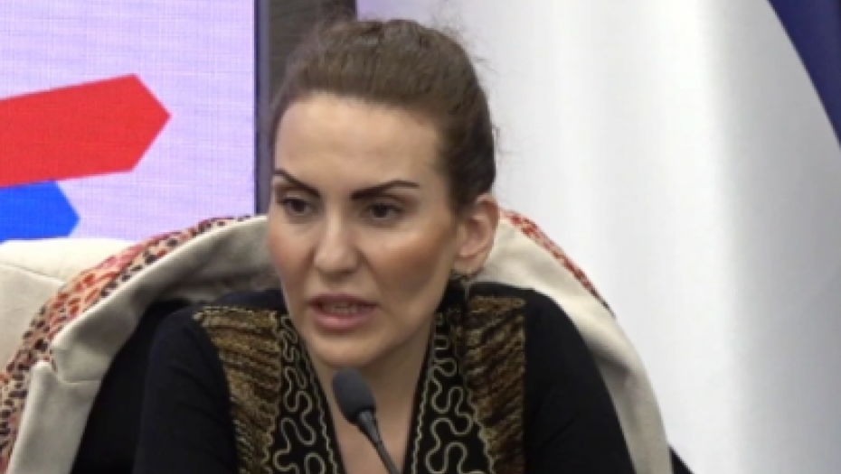 I NOVINARKA DANASA PRIZNALA: Aktivistkinja SNS je maltretirana