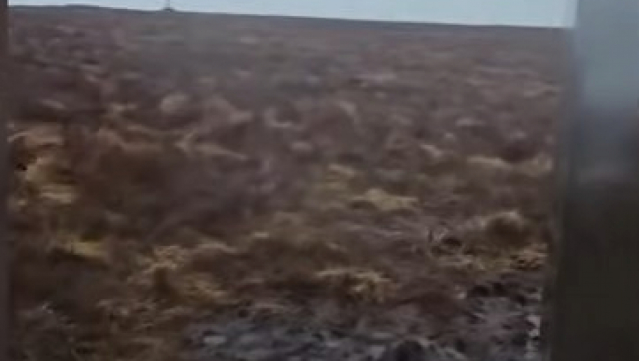 MISTERIOZNI OBJEKAT POTPUNO ZBUNIO ŠETAČE Niko nema pojma ni ko ga je doneo, ni zašto je tu! (VIDEO)