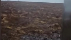 MISTERIOZNI OBJEKAT POTPUNO ZBUNIO ŠETAČE Niko nema pojma ni ko ga je doneo, ni zašto je tu! (VIDEO)