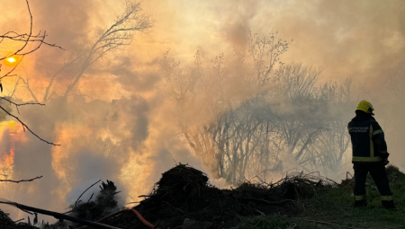 NIŠTA SE NE VIDI OD DIMA: Požar na Ribnjaku