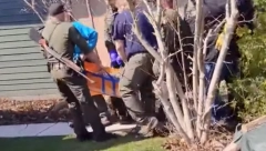 30 GODINA JE DRŽAO OVU DIVLJU ZVER U KUĆI, DECA SE IGRALA SA NJIM Reagovala i policija!