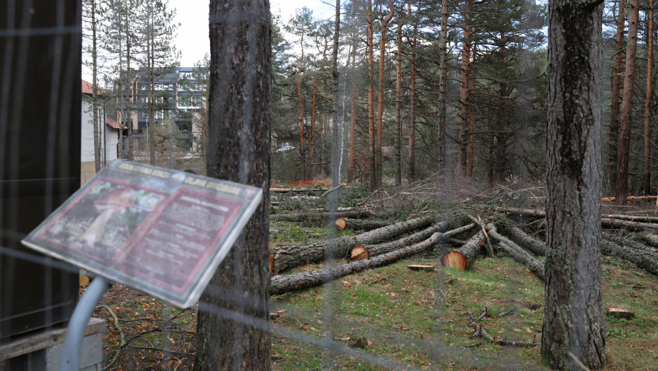 ALO! OTKRIVA: EKOLOŠKI FIJASKO U CENTRU DIVČIBARA Tužna slika posečene šume - da li je ovo bahatost ili neinformisanost onih koji grade?