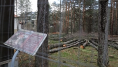 ALO! OTKRIVA: EKOLOŠKI FIJASKO U CENTRU DIVČIBARA Tužna slika posečene šume - da li je ovo bahatost ili neinformisanost onih koji grade?