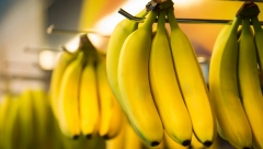 KOJE BANANE IMAJU NAJVIŠE VITAMINA Lako ćete saznati, samo pogledajte boju