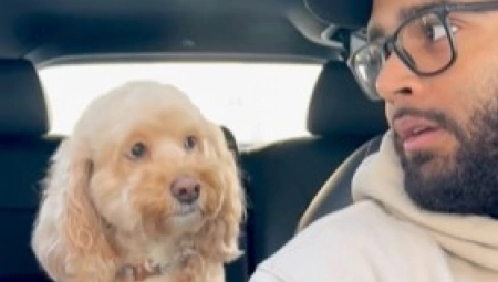 NA DEJT VODITE PSA SA SOBOM Može da prepozna da li izlazite sa lošom osobom,  eksperiment šokirao čak i naučnike