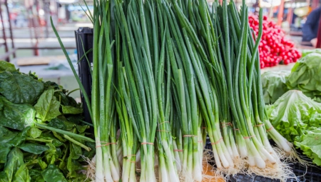 MLADI LUK JE VITAMINSKA BOMBA, ODLIČAN ZA KOSTI I KOŽU Često bacamo njegov deo za koji ne znamo da je najhranljiviji!