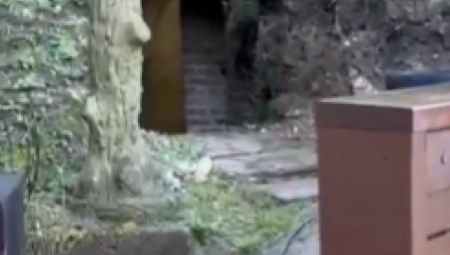 TETKICA SREĐIVALA ŠKOLSKO IGRALIŠTE I NAŠLA BOMBU! Učenici hitno poslati kućama!