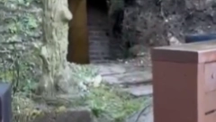 TETKICA SREĐIVALA ŠKOLSKO IGRALIŠTE I NAŠLA BOMBU! Učenici hitno poslati kućama!