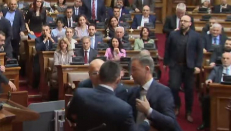 NASILNICI SE ZALETELI NA RADENOVIĆA, ALEKSIĆ NASRNUO NA OBEZBEĐENJE Đilasovi poslanici prevršili svaku meru