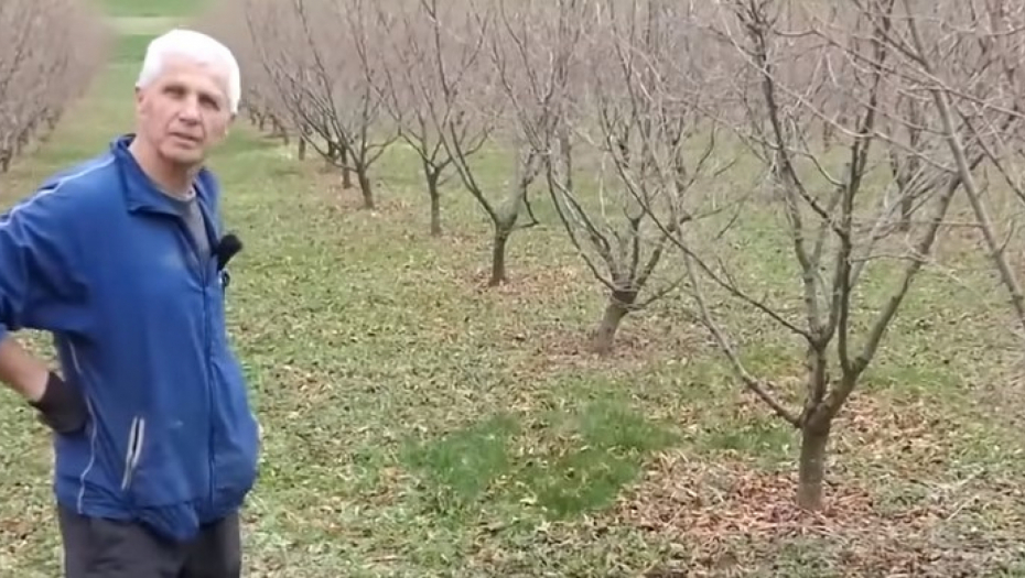 POJAVILA SE MEĐU DRVEĆEM, NIKO NEMA POJMA ŠTA JE Misteriozna pojava prestrašila meštane sela u Bosni!