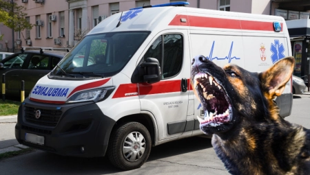 PAS UJEO DEVOJČICU (9) ZA USNU Užas u Nišu